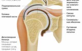 Ушиб плеча: симптомы, стадии, лечение, профилактика