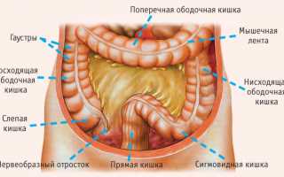 Использование препаратов при синдроме кишечной недостаточности