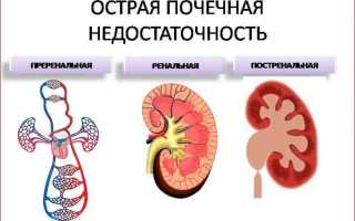 Особенности диеты при почечной недостаточности