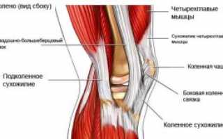 Тендинит коленного сустава: источник развития, симптомы, лечение
