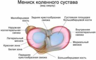 Мениск коленного сустава – симптомы и лечение повреждения