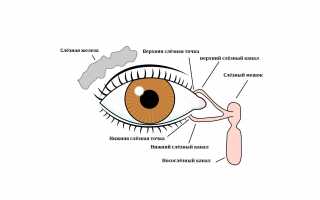 Запускать болезнь не стоит! Воспаление слезного канала: симптомы и фото